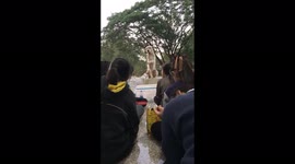 The dog with special feature by copied some priest to show off.