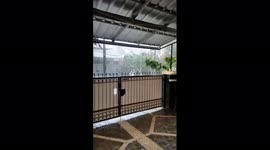 A Car Hit by a Falling Tree Due to Heavy Rain in Bogor City