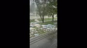 temp