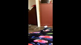 'Kid trips up on mom's foot while running around the house '