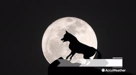 How the moon and seasons plays a role in paranormal activity