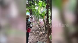 Landslide crushes three homes after torrential rain in Thailand