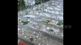 Record-breaking hailstones batter eastern Australia during freak storm