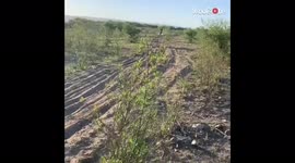 Nasty moto fail sees rider face planting into the dirt