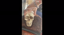 'Girl sets up a spooky home for her Praying Mantis '