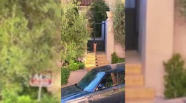 Puppy accidently locked outside home performs 'bunny hops' in attempt to get owner's attention