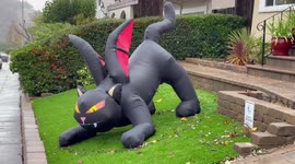 US: Inflatable ‘Batcat’ Feeling The Brunt Of Strong Winds From Bomb Cyclone