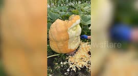 US pumpkin carver accidentally creates face of UK PM when trying to carve female witch