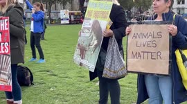 Anti-animal experiment group gathers outside London's Parliament to 'free the beagles'