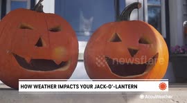 Keeping your jack-o’-lantern fresh through Halloween