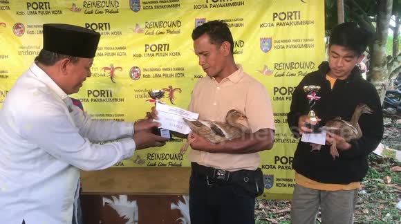 Flying ducks in Indonesia is a sport