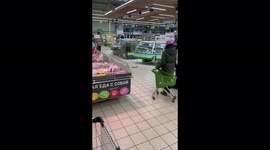 The fish tried to escape from the aquarium in the store