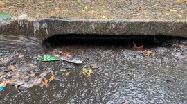Clear those basins! South Bronx man has great advice to help deal with nor'easter flooding in NYC