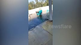 Hilarious moment dog destroys swimming pool and floods entire garden