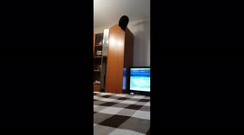 Cat Jump in Slow Motion, Perm Krai, Russia