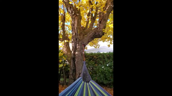 Beautiful day of October