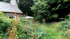Urban explorer finds ‘spooky’ cottage abandoned suddenly – with dirty dishes still in the sink and framed DEAD PHEASANT