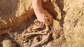 Archeologists discovers two mass graves of Spanish Civil War victims in Zaragosa