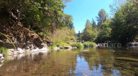 Stillwater next to Wildwood Falls in Lane County Oregon United States in mid-summer
