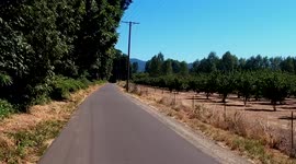 Driving down Harvest Lane in Springfield, Oregon, United States of America