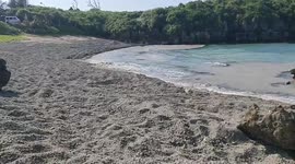 Japan: Pumice Stones Washed Ashore From Ogasawara Submarine Volcano To Okinawa 3