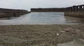 Japan: Pumice Stones Washed Ashore From Ogasawara Submarine Volcano To Okinawa 2