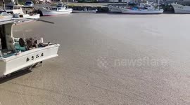 Japan: Pumice Stones Washed Ashore From Ogasawara Submarine Volcano To Okinawa 4