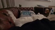 temp