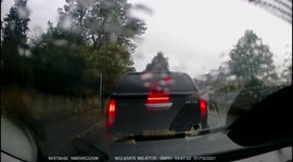 UK motorists have lucky escape after tree crashes through WINDSCREEN