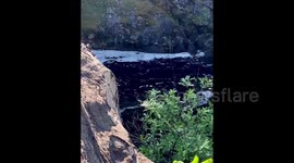 The exuberant Kivach Waterfall of the Karelian Republic