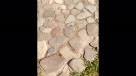 A delightful architectural monument of the Transfiguration Church on Kizhi Island