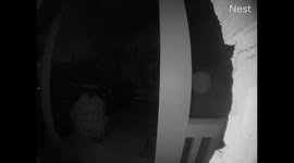 'Someone is out there': Unnerving and spooky large orb floats by Chicago family's Nest cam after strange noise and vibration wakes up house