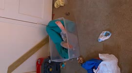 My granddaughter in fast motion, playing