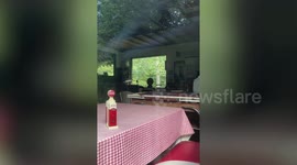 US teen discovers perfectly-preserved abandoned diner from the 1950s