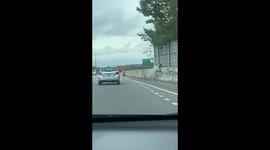 'So crazy': Deer jumps interstate wall straight into Cumberland River in Tennessee