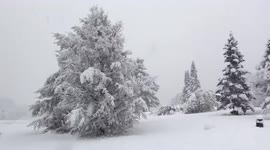 Snowy winter wonderland has arrived in Upstate New York following lake effect