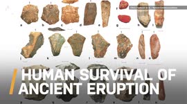Check Out These Early Stone Tools That Humans Used to Survive a Volcanic Eruption