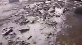 Indonesia flash floods kill five and leave four others missing