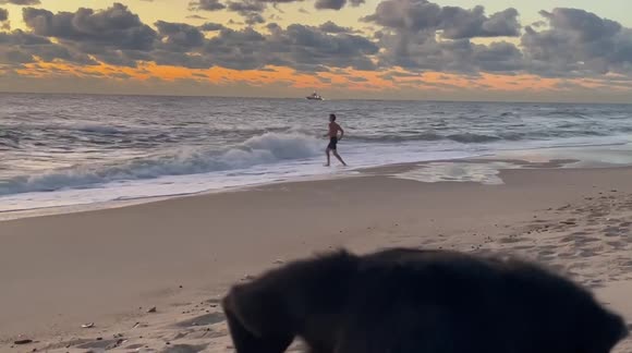 Sweet dog wants to save swimmer during freezing temperatures