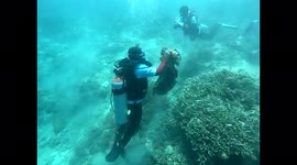 Bersih-bersih sampah di bawah laut