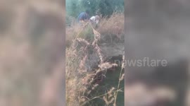 4 deers fall inside 15-feet-deep open well amid greenery, rescued in central India