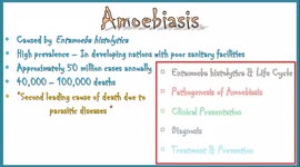 Amebiasis (Amoebic Dysentery) |  Pathogenesis, Clinical presentation, Diagnosis & Treatment