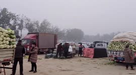 Beijing locals stockpile cabbages for winter as snow hits country