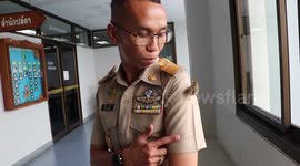 Lost baby bird adopted by caring government worker in Thailand
