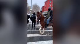 Four horsemen of the snowpocalypse: Riders spotted trotting through blizzard-hit northern China