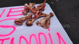 Protesters throw bones in clashes with police over municipal pension reform in Sao Paulo, Brazil