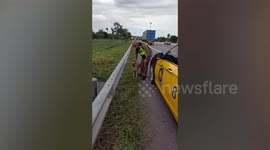 Hero policemen save stray dog lost on expressway in Thailand