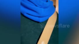 Passengers walk on train tracks during power outage in Shanghai, China