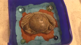 Creating a replica fossil crab of one of the most watched viral crabs in the world