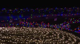 White Rock Beach & Pier Christmas Light In Canada